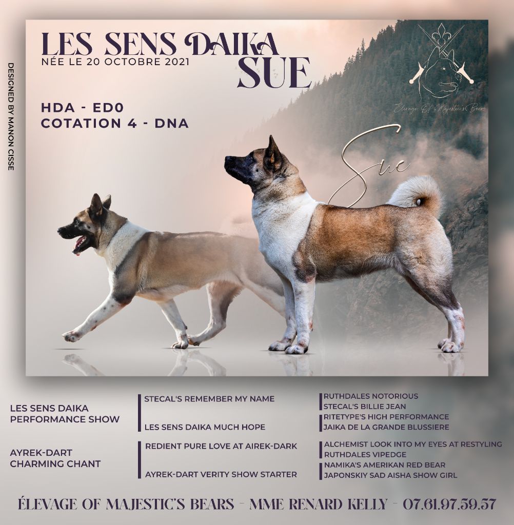 Les sens Daika Sue