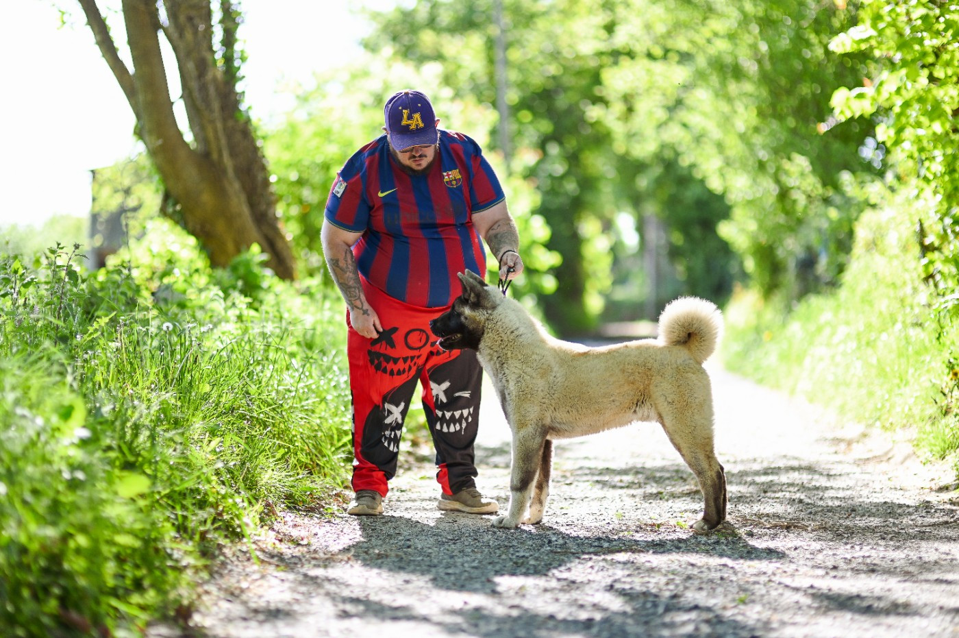 Of Majestic's Bears - Chiots disponibles - Akita americain